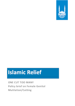 One Cut Too Many: Policy Brief on Female Genital Mutilation/Cutting